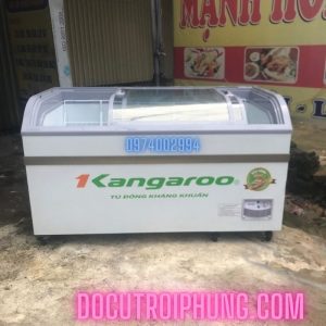 Tu Dong Mat Kinh Kangaroo Kg608a1 Mau Trang Kich Thuoc 700x700
