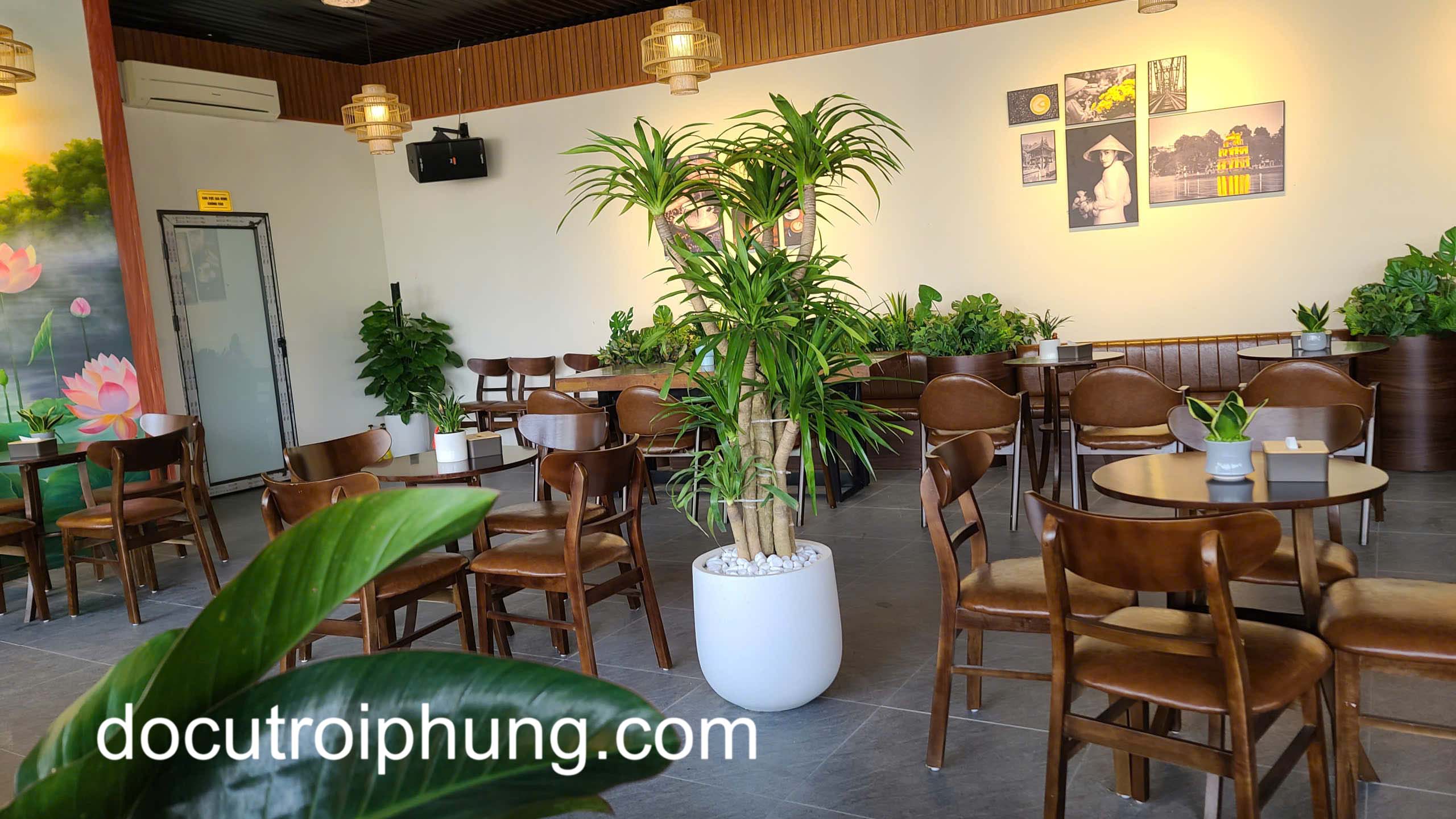 Thu mua bàn ghế tại Hai Bà Trưng