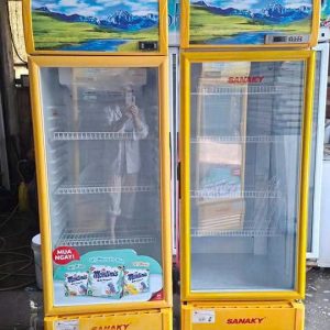 Tủ đông Sanaky 1 cánh