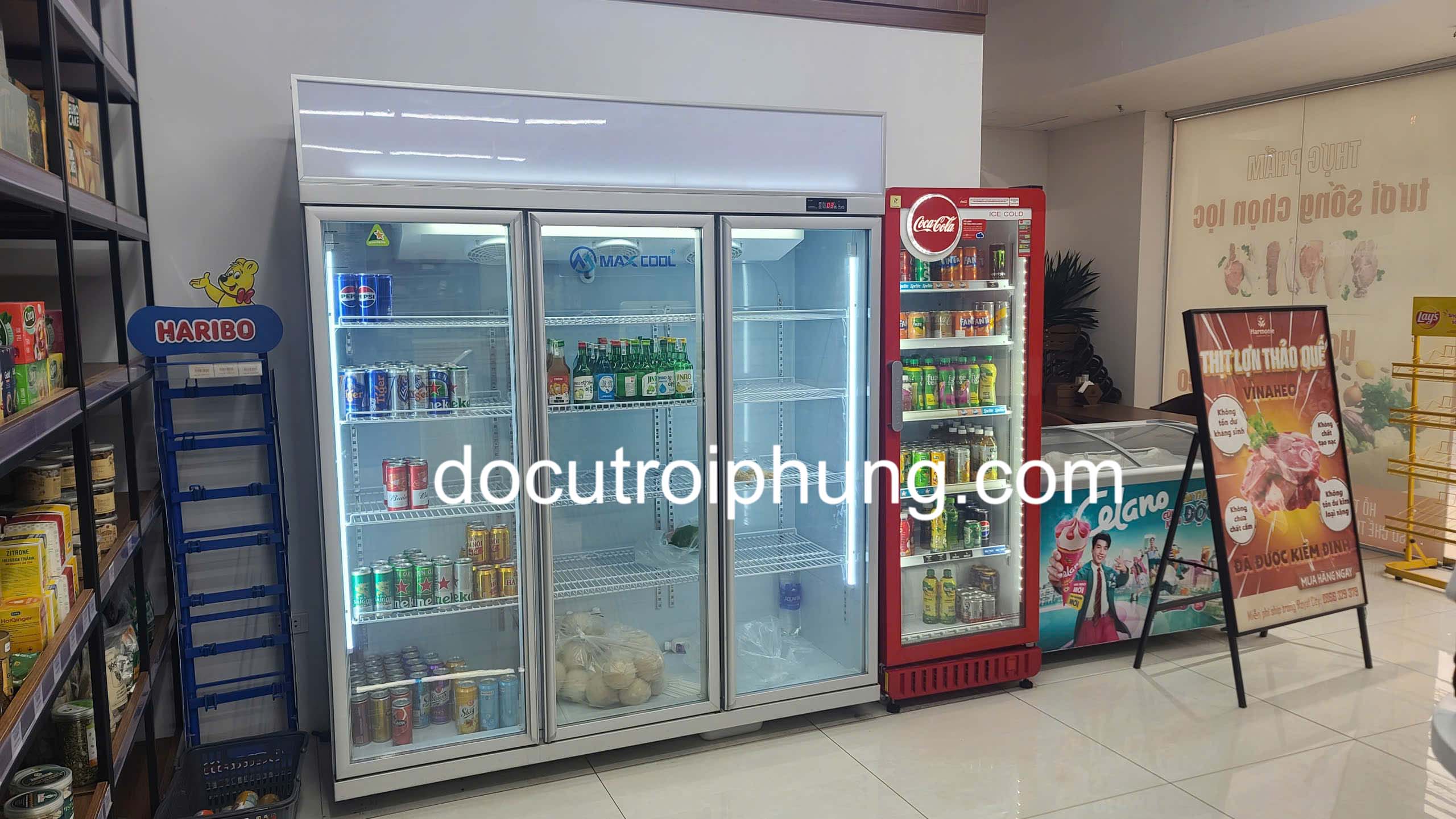 thuê tủ mát tại ba đình