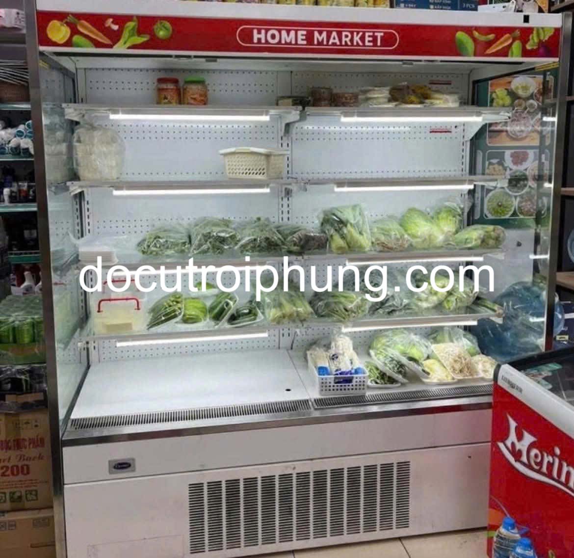 cho thuê tủ mát tại hoàng mai