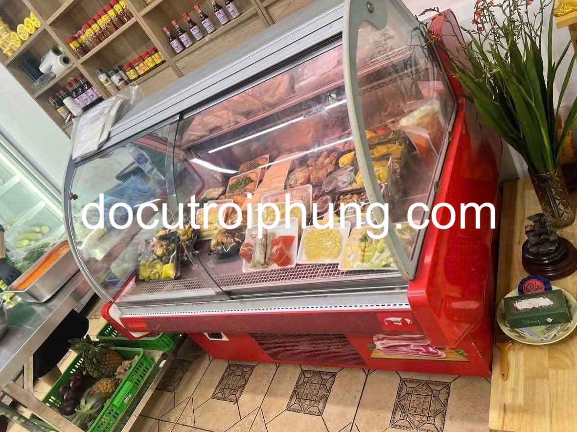 cho thuê tủ mát tại đống đa