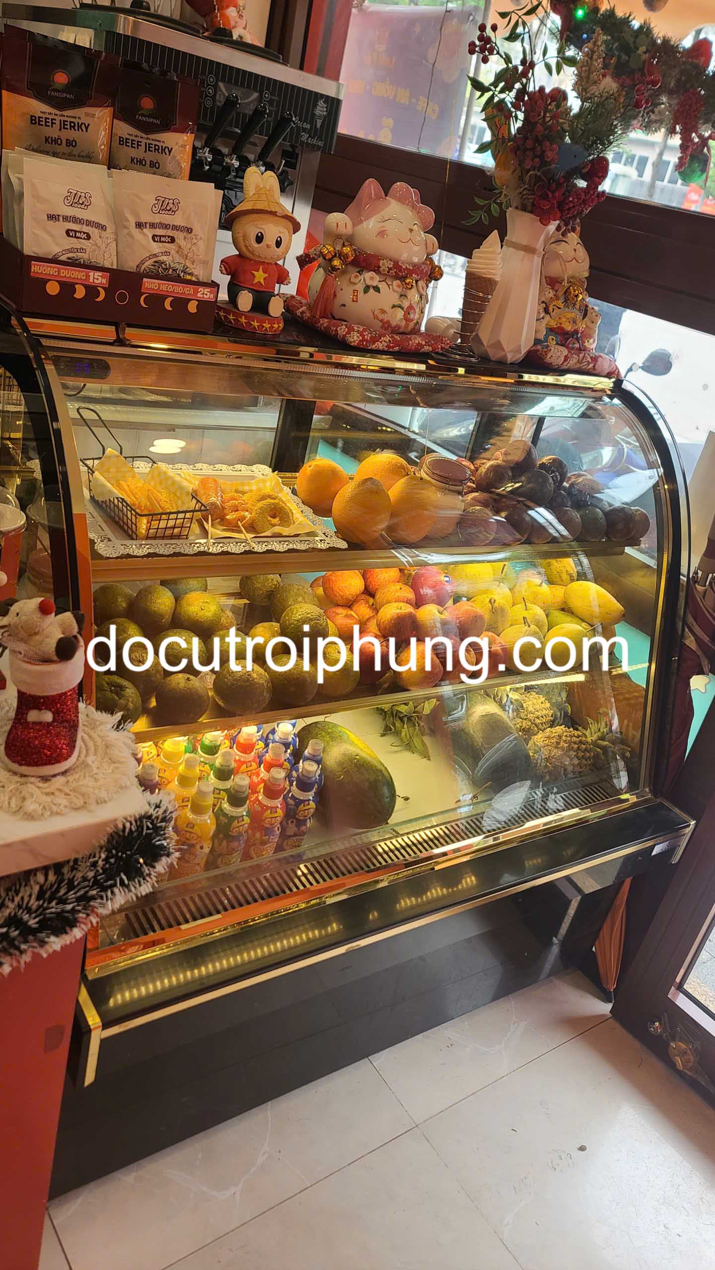 cho thuê tủ mát tại tây hồ