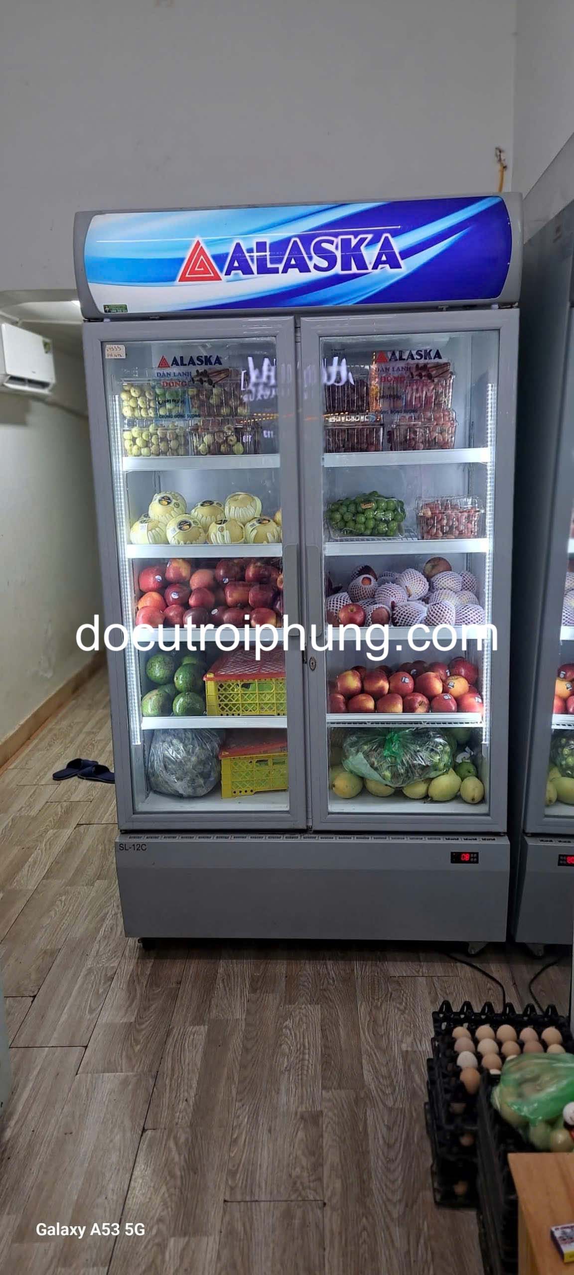 thuê tủ mát tại thanh xuân