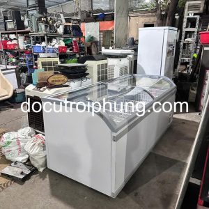 tủ đông kính cong IARP KREA 220.9