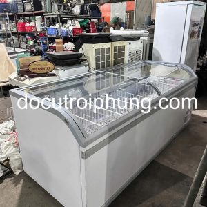 tủ đông kính cong IARP KREA 220.9